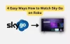 How to Watch Sky Go on Roku