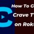 How to get 123movies on Roku