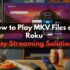 How to Connect wireless speaker to Roku TV