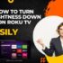 How to connect Roku to Projector