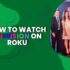 How to put Apollo Group TV on Roku