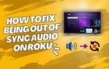 Why is My Roku Audio out of Sync